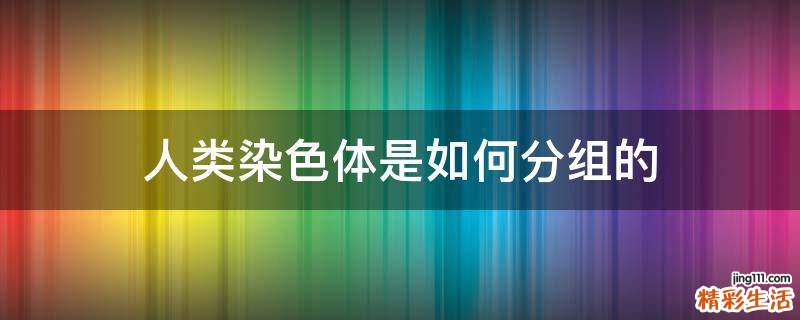 人类染色体是如何分组的