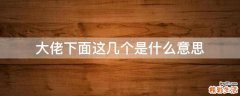 大佬下面这几个是什么意思