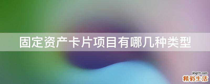 固定资产卡片项目有哪几种类型