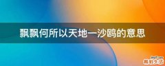 飘飘何所以天地一沙鸥的意思