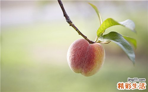 【秋季如何坐月子】“秋老虎”来袭 8月份坐月子注意事项