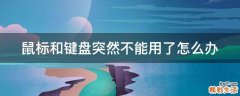 鼠标和键盘突然不能用了怎么办