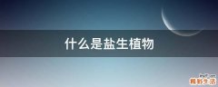 什么是盐生植物