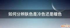 如何分辨肤色是冷色还是暖色