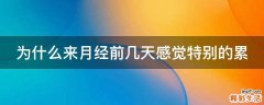 为什么来月经前几天感觉特别的累