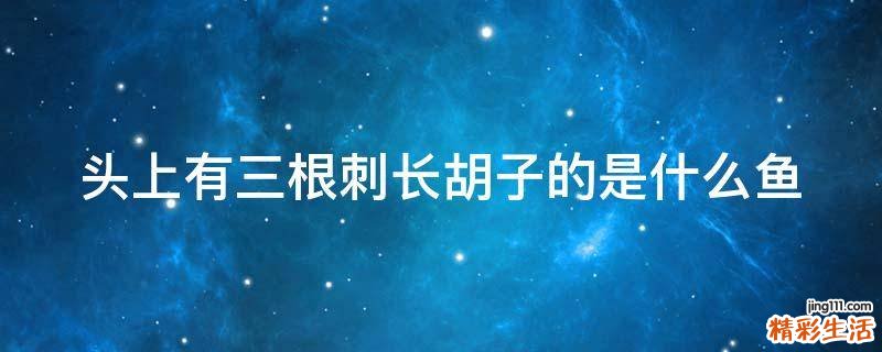 头上有三根刺长胡子的是什么鱼