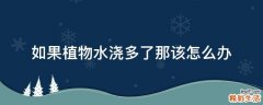如果植物水浇多了那该怎么办