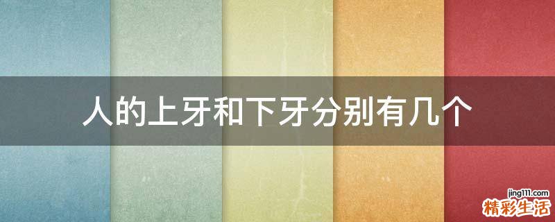 人的上牙和下牙分别有几个