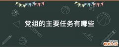 党组的主要任务有哪些