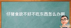 仔猪食欲不好不吃东西怎么办啊