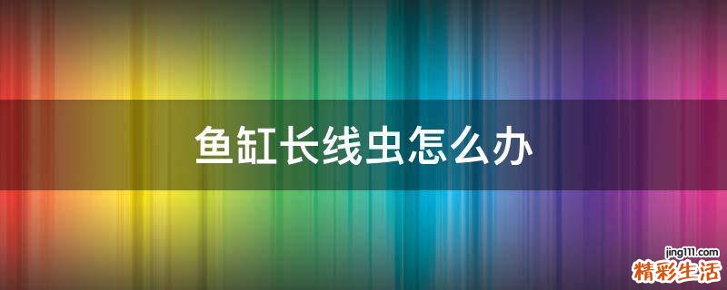 鱼缸长线虫怎么办