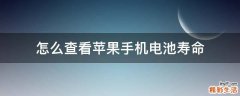 怎么查看苹果手机电池寿命