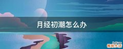 月经初潮怎么办