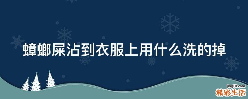 蟑螂屎沾到衣服上用什么洗的掉