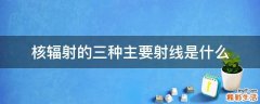 核辐射的三种主要射线是什么