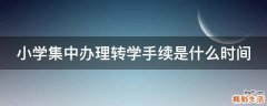 小学集中办理转学手续是什么时间