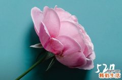 520给男朋友发多少红包合适