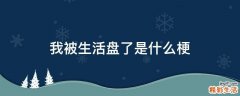 我被生活盘了是什么梗