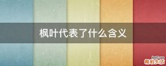 枫叶代表了什么含义