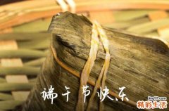 115句 2023端午节祝福语