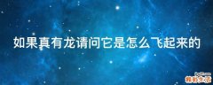 如果真有龙请问它是怎么飞起来的