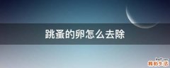 跳蚤的卵怎么去除