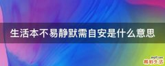 生活本不易静默需自安是什么意思