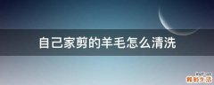 自己家剪的羊毛怎么清洗