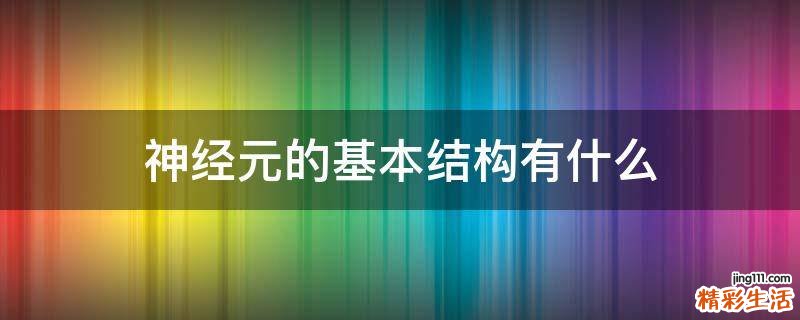 神经元的基本结构有什么