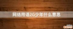 网络用语2G少年什么意思