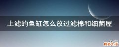 上滤的鱼缸怎么放过滤棉和细菌屋