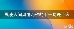 纵使人间风情万种的下一句是什么