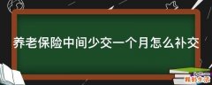 养老保险中间少交一个月怎么补交