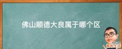 佛山顺德大良属于哪个区