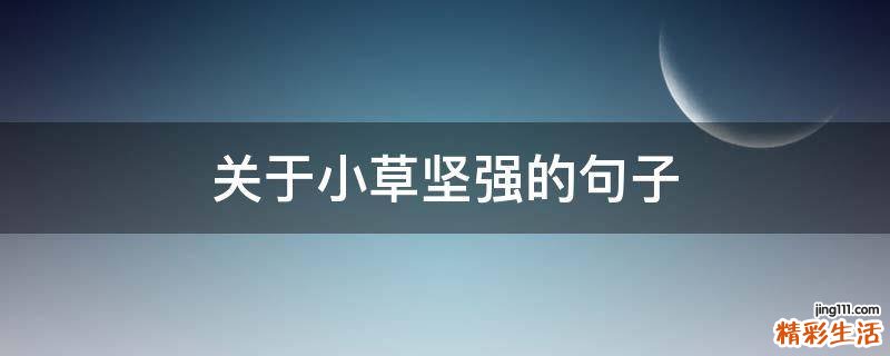 关于小草坚强的句子