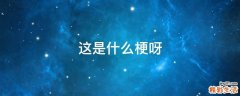 这是什么梗呀