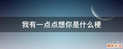 我有一点点想你是什么梗
