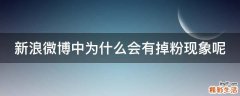 新浪微博中为什么会有掉粉现象呢