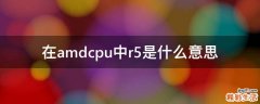 在amdcpu中r5是什么意思