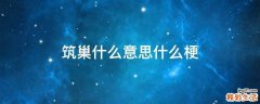 筑巢什么意思什么梗