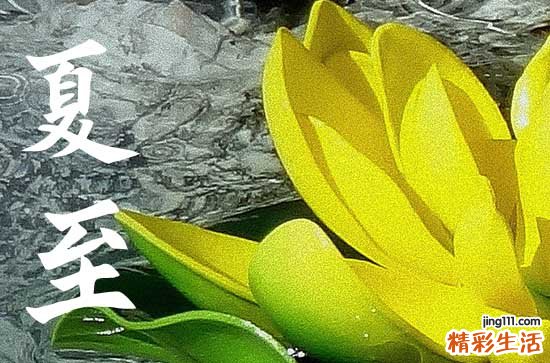 155句 迎接夏天的唯美浪漫说说