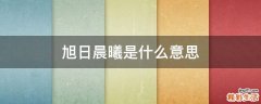 旭日晨曦是什么意思