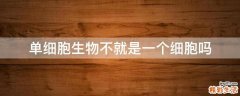 单细胞生物不就是一个细胞吗
