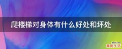 爬楼梯对身体有什么好处和坏处