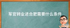 军官转业进合肥需要什么条件