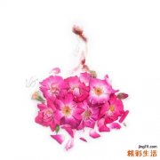 10 太极静心养志