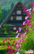 11 太极静心养志