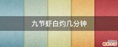 九节虾白灼几分钟