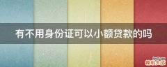 有不用身份证可以小额贷款的吗