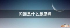 闪回是什么意思啊